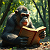 Poetry: Herein lies a jungle library,  a green cathedral of leaf and light,  where one wise ape, our...