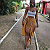 Post: #ILoveBlackWomen