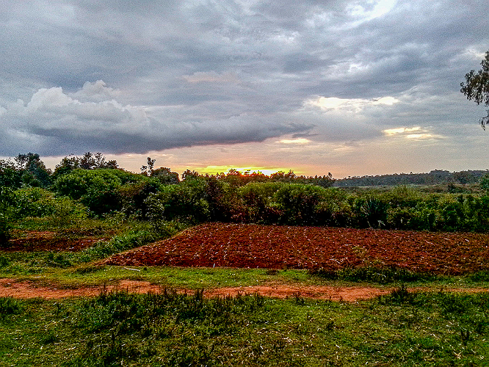 Sunset In The Countryside