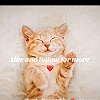Pius Don